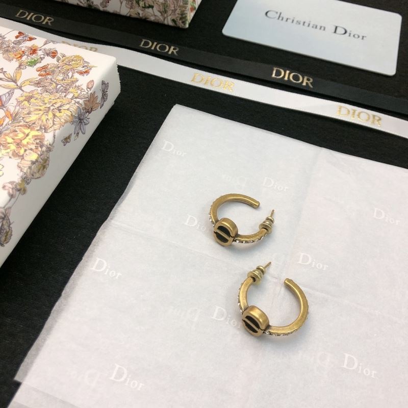 Christian Dior Earrings